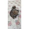Датчик уровня топлива Toyota Carina/Corona/Caldina/Carina E CT190/CT21 в Омске Датчик уровня топлива Toyota Carina/Corona/Caldina/Carina E CT190/CT21 в Омске