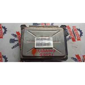 Блок управления ДВС EFI Toyota Cavalier 09356249 в Омске Блок управления ДВС EFI Toyota Cavalier 09356249 в Омске